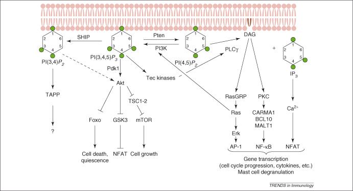 https://cdn.ncbi.nlm.nih.gov/pmc/blobs/24fc/2855995/d4fc3252e82c/gr1.jpg