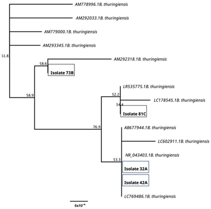 https://cdn.ncbi.nlm.nih.gov/pmc/blobs/24fd/12299581/4b07a980928b/polymers-17-01978-g003.jpg