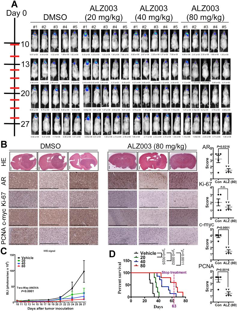https://cdn.ncbi.nlm.nih.gov/pmc/blobs/24fd/6940696/0e28b27287c6/gr7.jpg