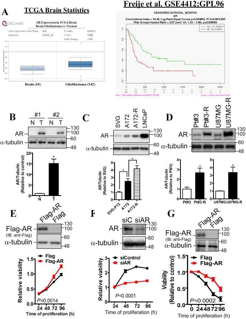 https://cdn.ncbi.nlm.nih.gov/pmc/blobs/24fd/6940696/27dabd7149f2/gr1.jpg
