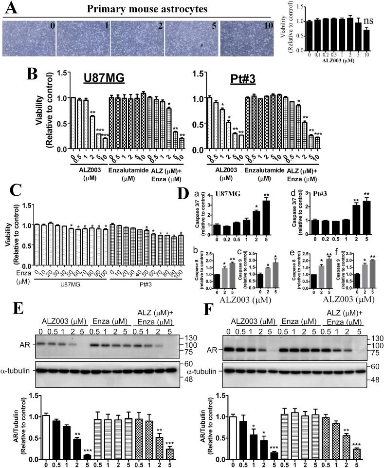 https://cdn.ncbi.nlm.nih.gov/pmc/blobs/24fd/6940696/6d794c75c120/gr2.jpg