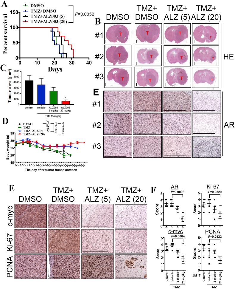 https://cdn.ncbi.nlm.nih.gov/pmc/blobs/24fd/6940696/7b0f95603fe5/gr8.jpg