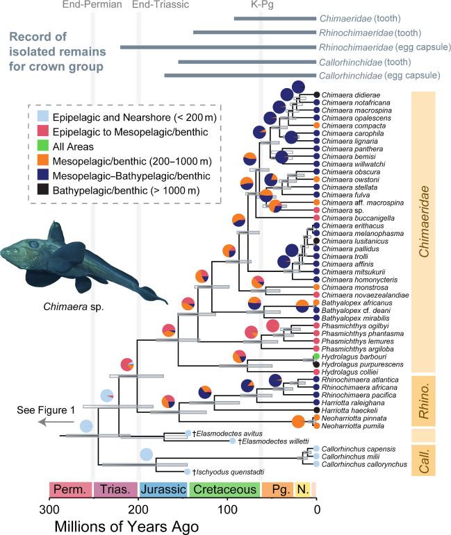 https://cdn.ncbi.nlm.nih.gov/pmc/blobs/2501/11521621/4ec2b20da53f/rspb.2024.1824.f002.jpg