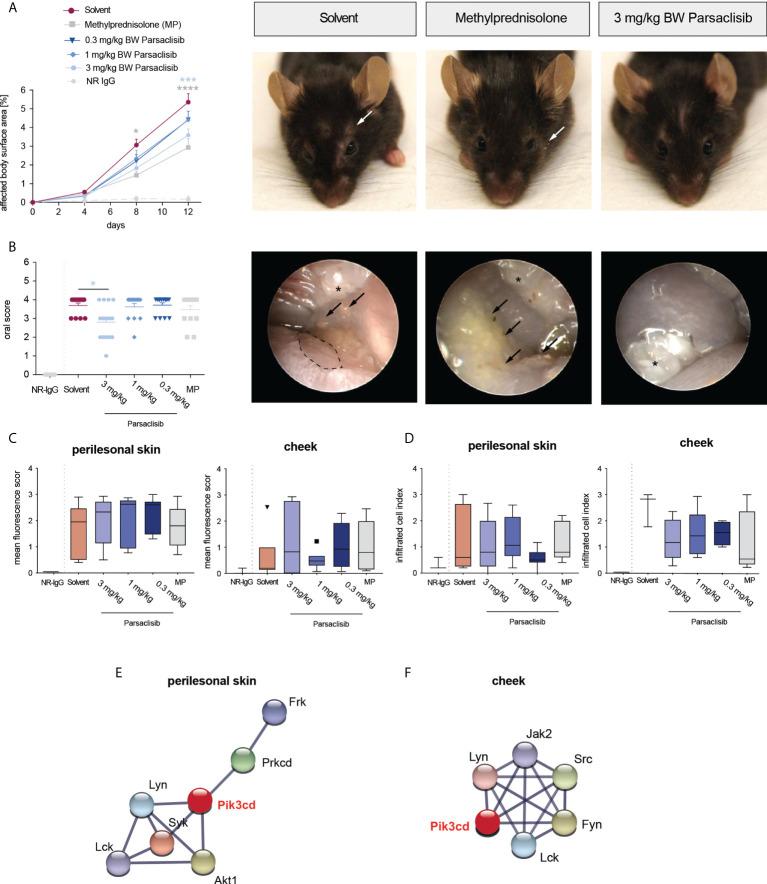 https://cdn.ncbi.nlm.nih.gov/pmc/blobs/2501/9555174/6303e6450e37/fimmu-13-865241-g004.jpg