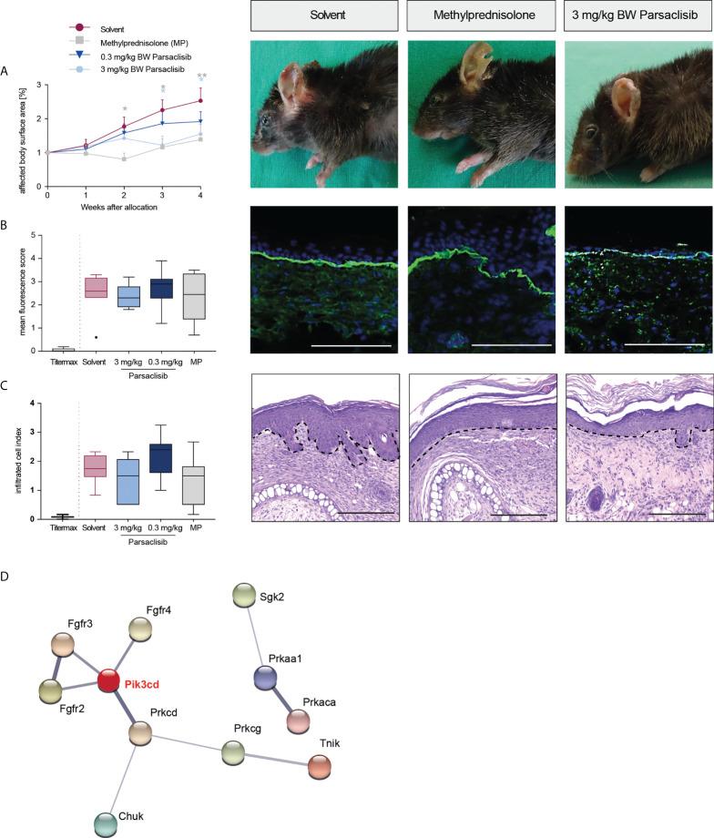 https://cdn.ncbi.nlm.nih.gov/pmc/blobs/2501/9555174/a826a23d8b6c/fimmu-13-865241-g003.jpg