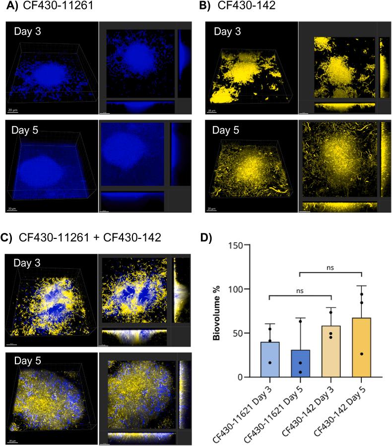 https://cdn.ncbi.nlm.nih.gov/pmc/blobs/2502/11834076/5552445ffc0f/gr4.jpg