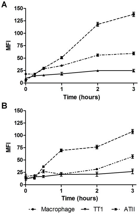 https://cdn.ncbi.nlm.nih.gov/pmc/blobs/2502/3137597/8f05aff7253c/pone.0021827.g011.jpg