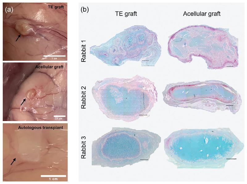 https://cdn.ncbi.nlm.nih.gov/pmc/blobs/2502/7617253/812fb18c2341/EMS201272-f004.jpg