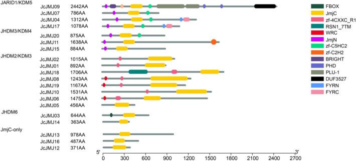 https://cdn.ncbi.nlm.nih.gov/pmc/blobs/2502/9023485/8798b57b983e/41598_2022_10584_Fig2_HTML.jpg
