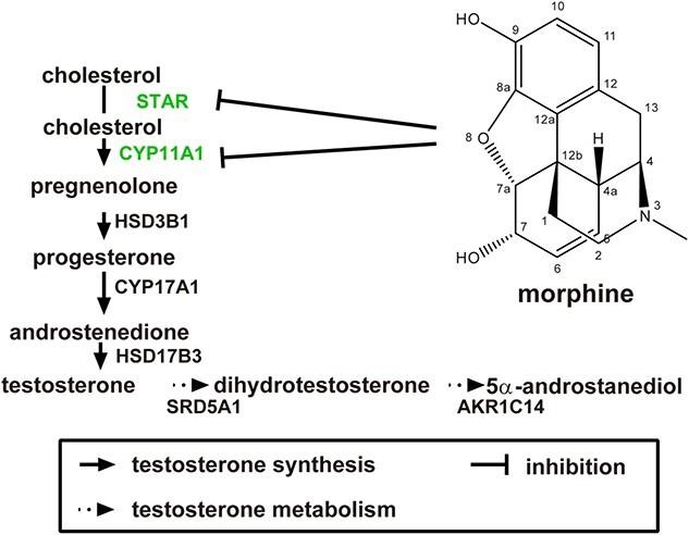 https://cdn.ncbi.nlm.nih.gov/pmc/blobs/2503/10811522/6352031968a6/tfae001ga1.jpg