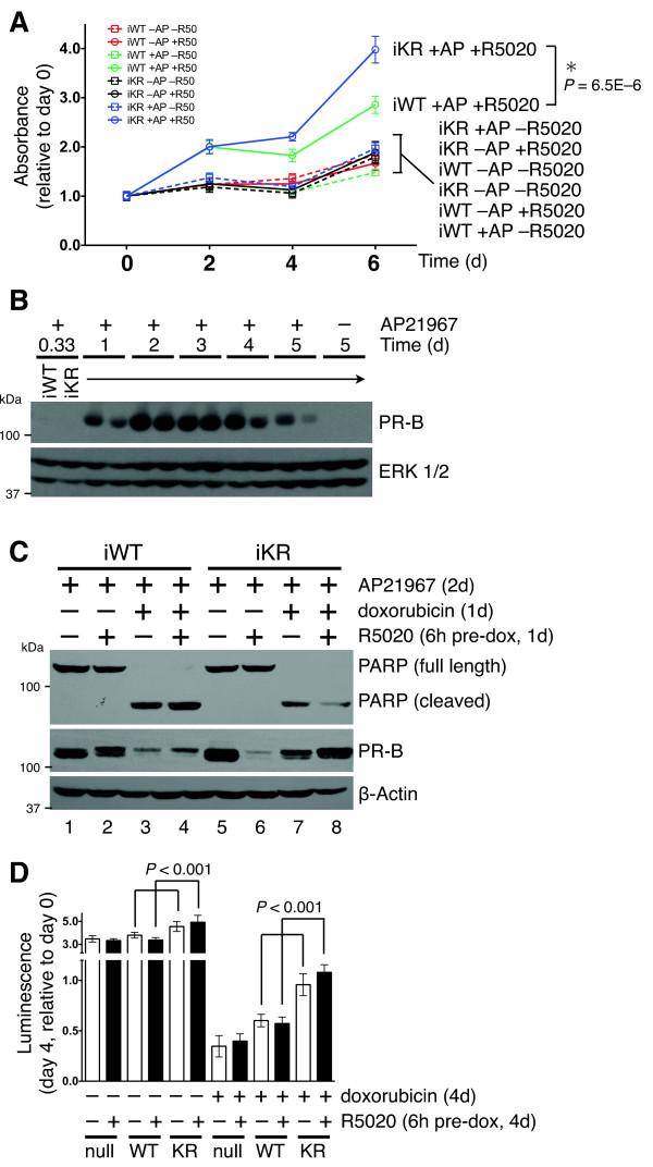 https://cdn.ncbi.nlm.nih.gov/pmc/blobs/2504/3446358/d4022a8cbec3/bcr3211-4.jpg