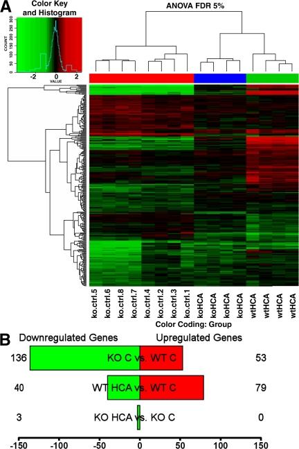 https://cdn.ncbi.nlm.nih.gov/pmc/blobs/2506/2373852/b7153542774c/jem2051227f03.jpg
