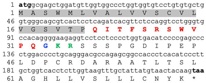 https://cdn.ncbi.nlm.nih.gov/pmc/blobs/2508/11672810/38612b5775a5/animals-14-03706-g001.jpg