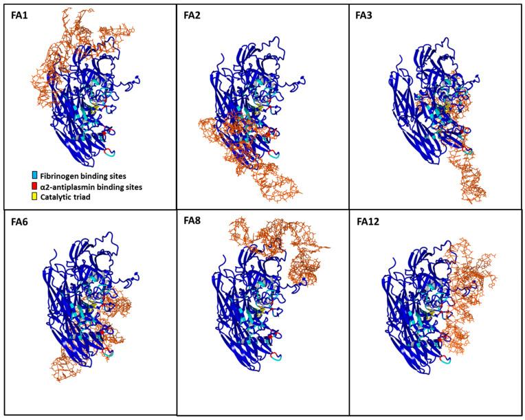 https://cdn.ncbi.nlm.nih.gov/pmc/blobs/2508/7916480/5fecfe458ea6/jcm-10-00677-g004.jpg