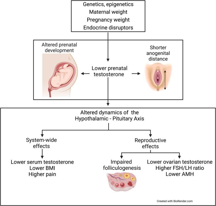 https://cdn.ncbi.nlm.nih.gov/pmc/blobs/250a/9904225/acef62a4dbf5/JPR-16-307-g0002.jpg