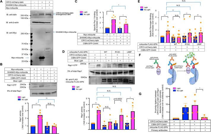 https://cdn.ncbi.nlm.nih.gov/pmc/blobs/250b/11928058/2589696d92e9/joces-138-263595-g3.jpg