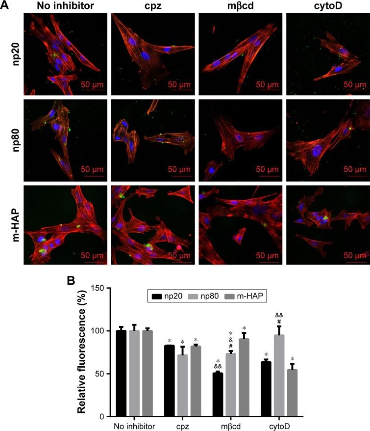 https://cdn.ncbi.nlm.nih.gov/pmc/blobs/250b/5856024/a900dd6215de/ijn-13-1457Fig7.jpg