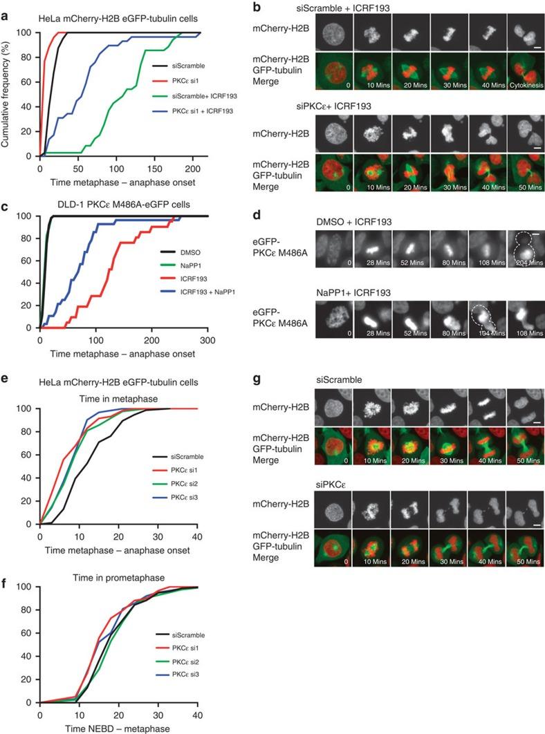 https://cdn.ncbi.nlm.nih.gov/pmc/blobs/250d/4272242/9b23b8b6e539/ncomms6685-f3.jpg