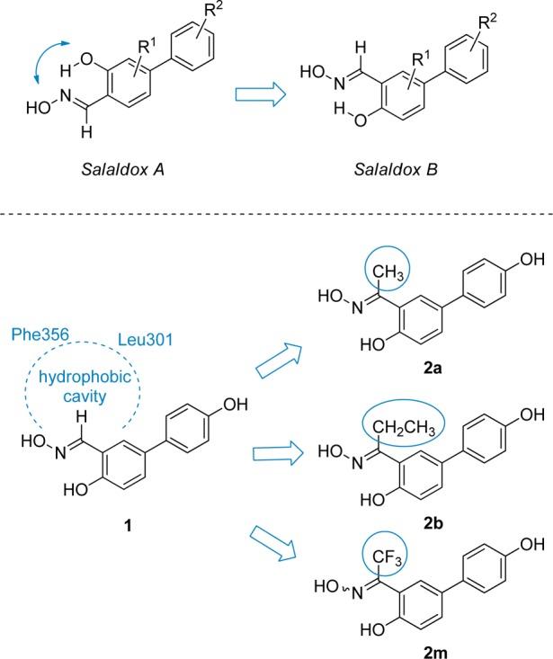 https://cdn.ncbi.nlm.nih.gov/pmc/blobs/250d/4610302/eb4fef83306c/jm-2014-01829f_0001.jpg