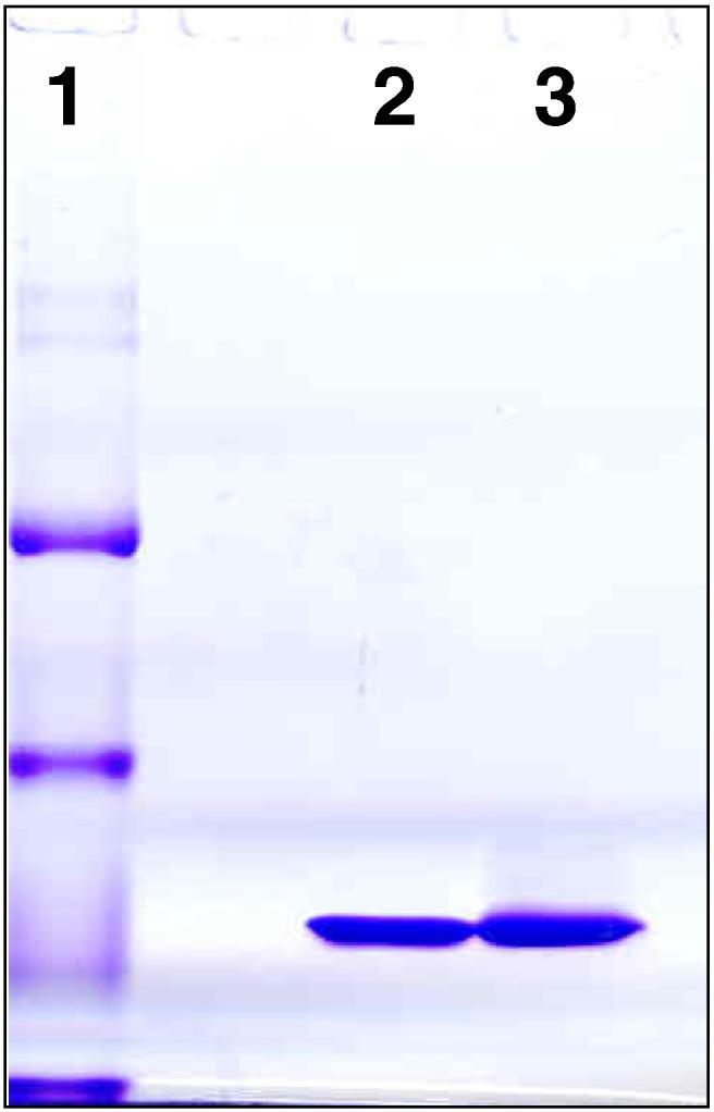 https://cdn.ncbi.nlm.nih.gov/pmc/blobs/250f/4068106/37ef72c44cdd/gr3.jpg