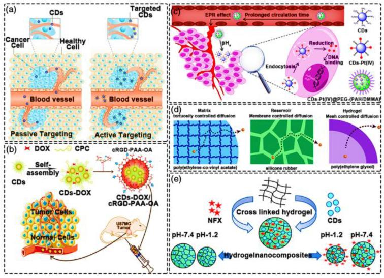 https://cdn.ncbi.nlm.nih.gov/pmc/blobs/2511/11988419/ea2f84144785/ijms-26-02846-g005.jpg