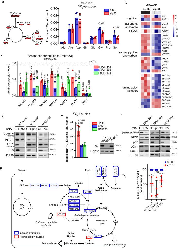 https://cdn.ncbi.nlm.nih.gov/pmc/blobs/2512/10600207/fdf81f15df1b/41467_2023_42458_Fig1_HTML.jpg