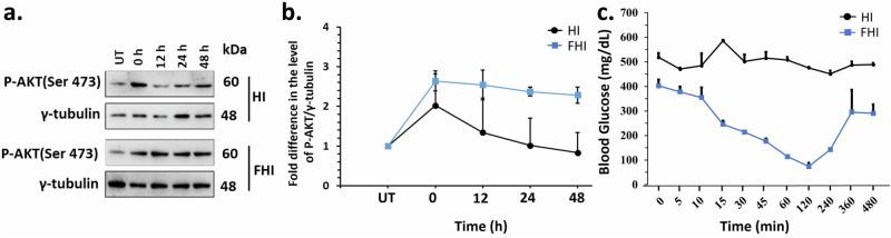 https://cdn.ncbi.nlm.nih.gov/pmc/blobs/2512/11266353/438034411081/42004_2024_1241_Fig4_HTML.jpg