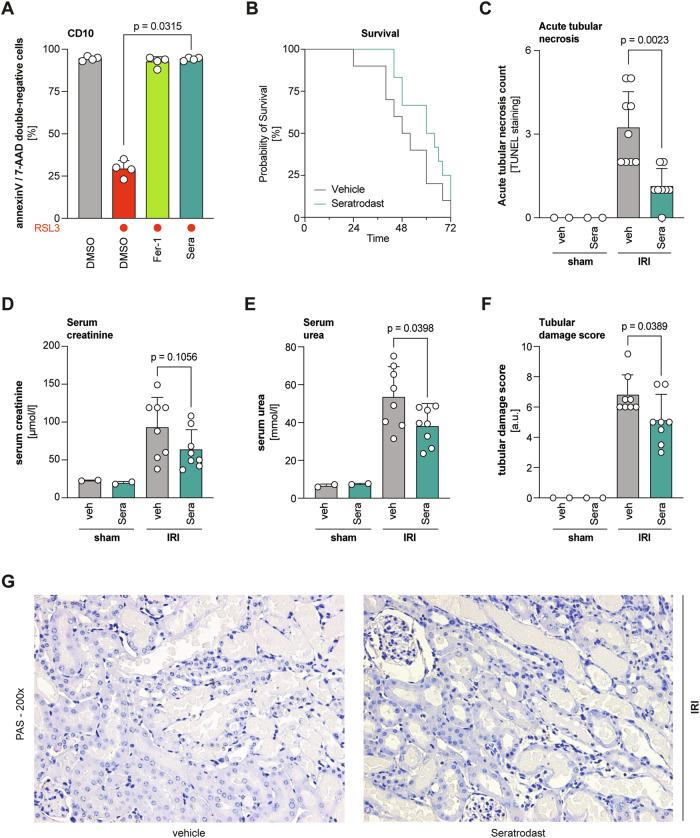 https://cdn.ncbi.nlm.nih.gov/pmc/blobs/2513/11584883/20b985a64c55/41419_2024_7251_Fig4_HTML.jpg