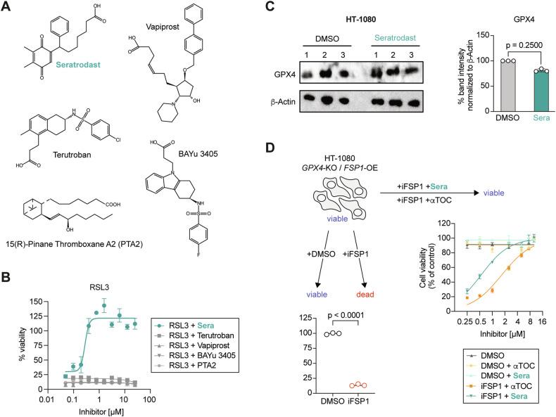 https://cdn.ncbi.nlm.nih.gov/pmc/blobs/2513/11584883/347b26a38cc6/41419_2024_7251_Fig2_HTML.jpg