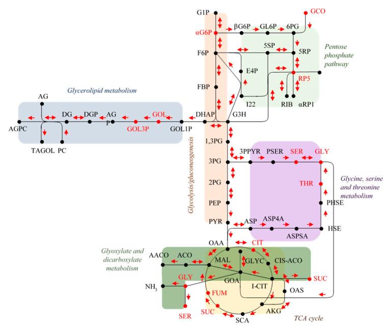 https://cdn.ncbi.nlm.nih.gov/pmc/blobs/2514/8001445/dd162fe277f8/metabolites-11-00150-g004.jpg