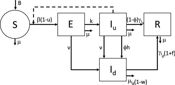 https://cdn.ncbi.nlm.nih.gov/pmc/blobs/2514/8413365/b88a08b5eb27/11071_2021_6840_Fig1_HTML.jpg