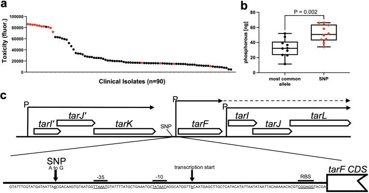 https://cdn.ncbi.nlm.nih.gov/pmc/blobs/2514/9430763/3f3e71b38242/spectrum.01011-22-f001.jpg