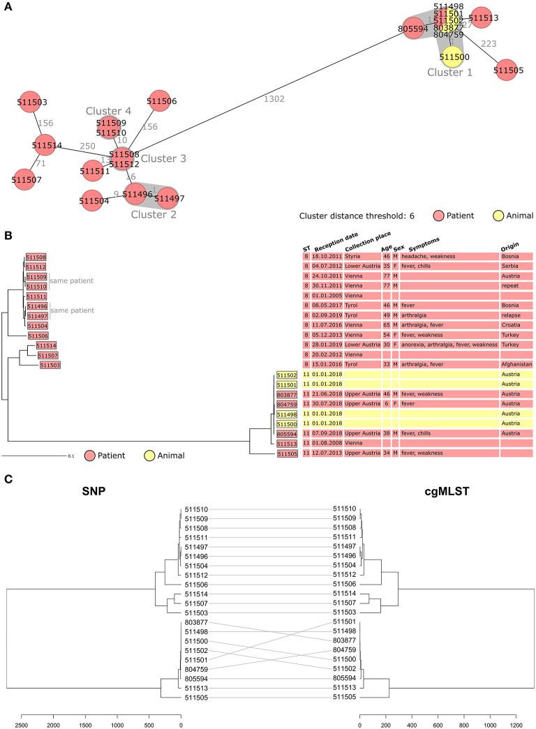 https://cdn.ncbi.nlm.nih.gov/pmc/blobs/2516/7943447/fe3b4ebdaf7f/fmed-08-635547-g0001.jpg