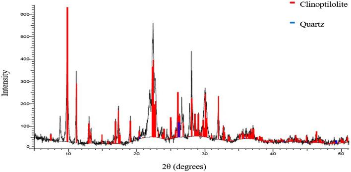 https://cdn.ncbi.nlm.nih.gov/pmc/blobs/2517/10250550/11e8e6a955ce/41598_2023_36487_Fig3_HTML.jpg