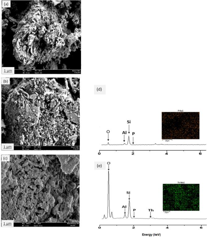 https://cdn.ncbi.nlm.nih.gov/pmc/blobs/2517/10250550/a5f07405e037/41598_2023_36487_Fig8_HTML.jpg
