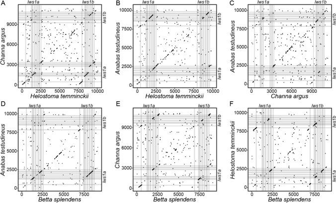 https://cdn.ncbi.nlm.nih.gov/pmc/blobs/2519/11291592/58255335e952/239_2024_10181_Fig3_HTML.jpg
