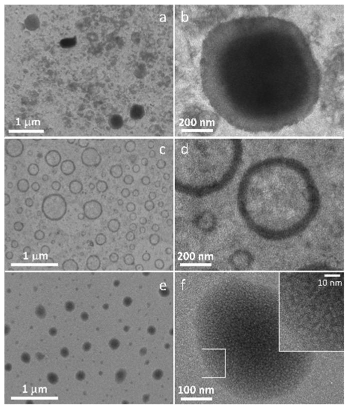 https://cdn.ncbi.nlm.nih.gov/pmc/blobs/2519/8399280/a7b8d73aaf00/pharmaceutics-13-01166-g006.jpg