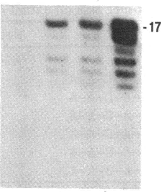 https://cdn.ncbi.nlm.nih.gov/pmc/blobs/251a/397550/b690d49700ec/pnas00348-0139-a.jpg