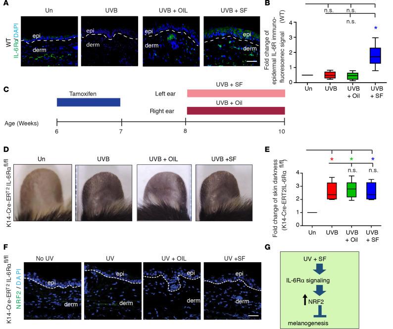 https://cdn.ncbi.nlm.nih.gov/pmc/blobs/251b/7605539/1e853497a563/jciinsight-5-139342-g244.jpg
