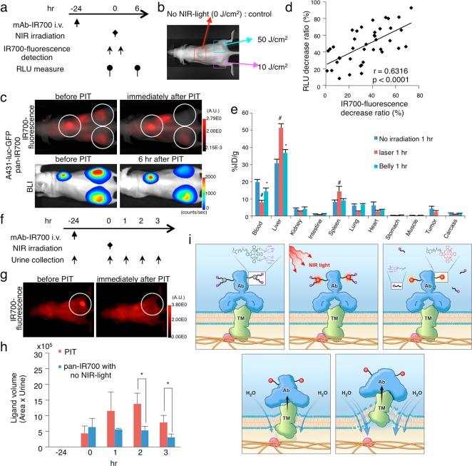 https://cdn.ncbi.nlm.nih.gov/pmc/blobs/251c/6276043/1a395ca07644/oc-2018-00565w_0005.jpg