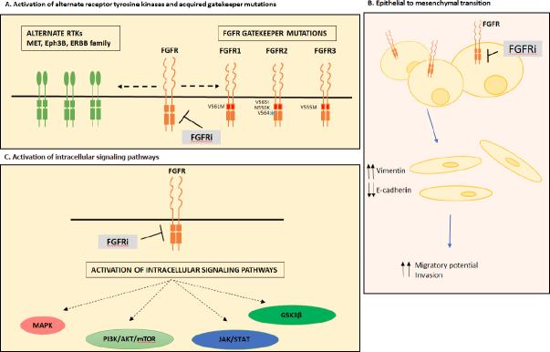 https://cdn.ncbi.nlm.nih.gov/pmc/blobs/251d/8992533/48dab0942ba5/cdr-2-568.fig.1.jpg