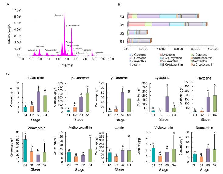 https://cdn.ncbi.nlm.nih.gov/pmc/blobs/2520/11432492/b2d2e2453dbc/ijms-25-10198-g003.jpg