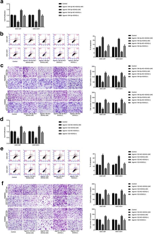 https://cdn.ncbi.nlm.nih.gov/pmc/blobs/2521/5683208/1d544e0d433a/12943_2017_737_Fig6_HTML.jpg