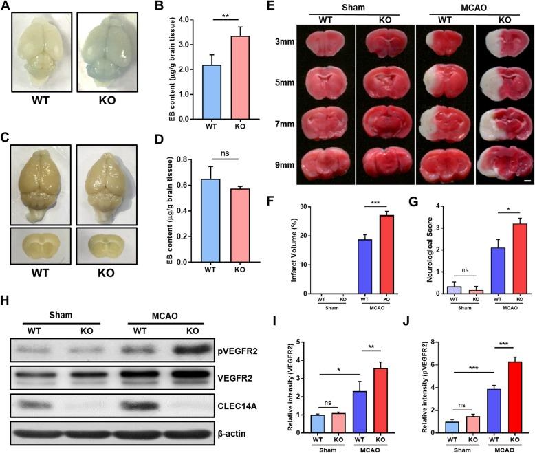 https://cdn.ncbi.nlm.nih.gov/pmc/blobs/2522/7001304/95f579edbc83/12974_2020_1727_Fig2_HTML.jpg