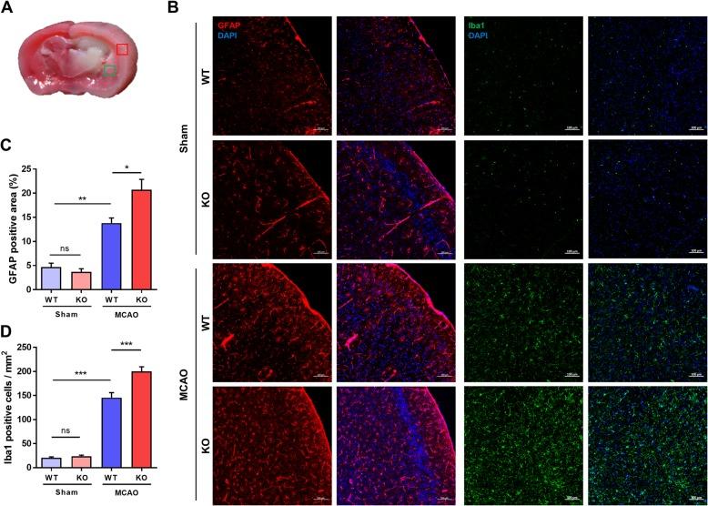 https://cdn.ncbi.nlm.nih.gov/pmc/blobs/2522/7001304/ac5e0561c335/12974_2020_1727_Fig6_HTML.jpg