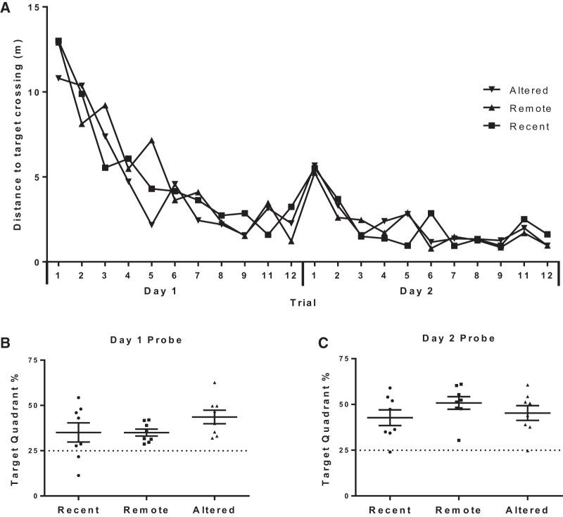 https://cdn.ncbi.nlm.nih.gov/pmc/blobs/2523/4986854/ca3e05056880/CarrLM042366f01.jpg