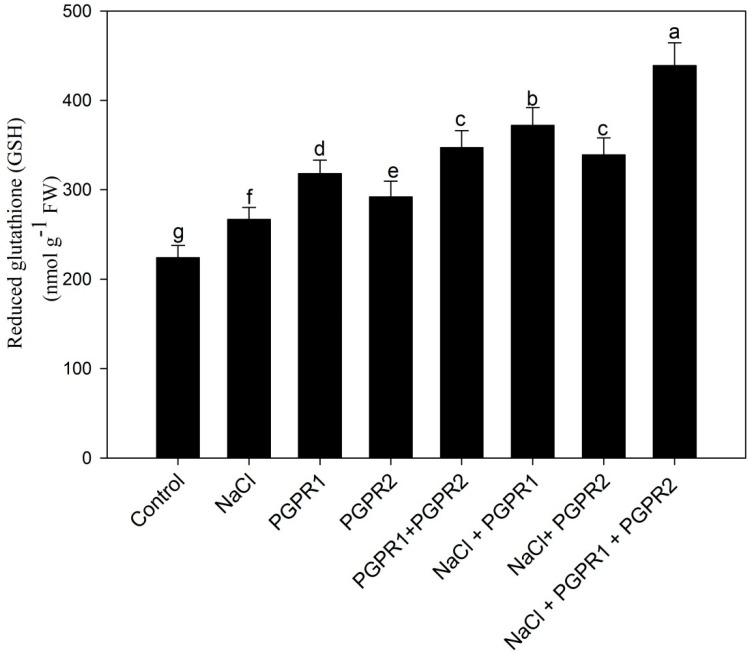 https://cdn.ncbi.nlm.nih.gov/pmc/blobs/2523/9963382/0c9522f3f451/plants-12-00705-g008.jpg