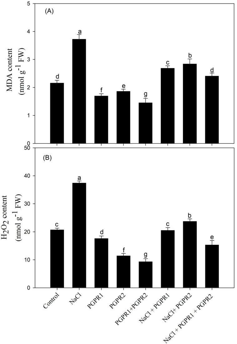 https://cdn.ncbi.nlm.nih.gov/pmc/blobs/2523/9963382/b22c202a7624/plants-12-00705-g005.jpg