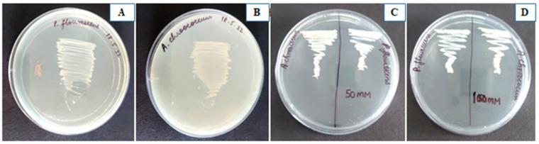 https://cdn.ncbi.nlm.nih.gov/pmc/blobs/2523/9963382/be7bd136f81c/plants-12-00705-g001.jpg