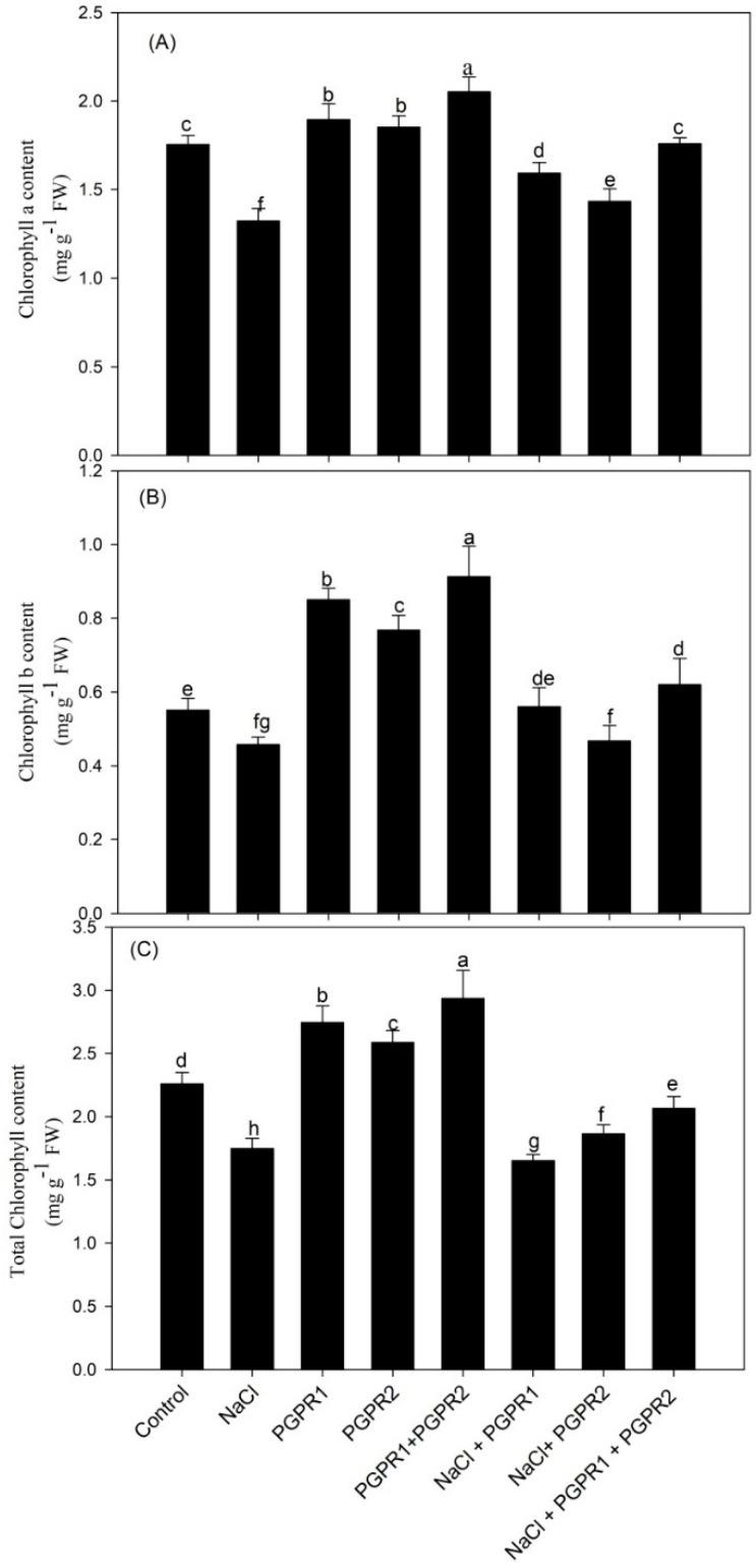 https://cdn.ncbi.nlm.nih.gov/pmc/blobs/2523/9963382/c6d5ebbbe5c6/plants-12-00705-g002.jpg